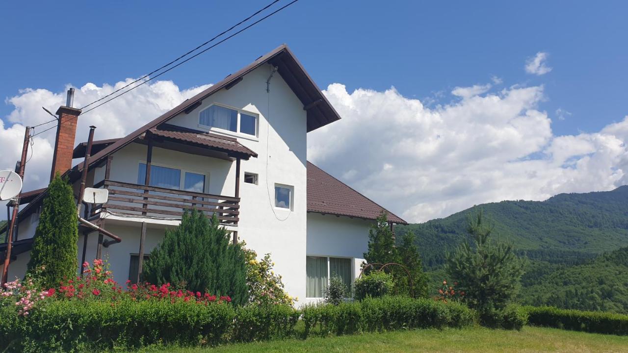 Valea Doamnei Hotel Nucsoara  Bagian luar foto
