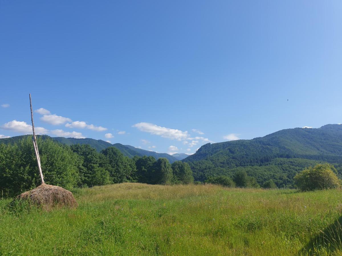 Valea Doamnei Hotel Nucsoara  Bagian luar foto