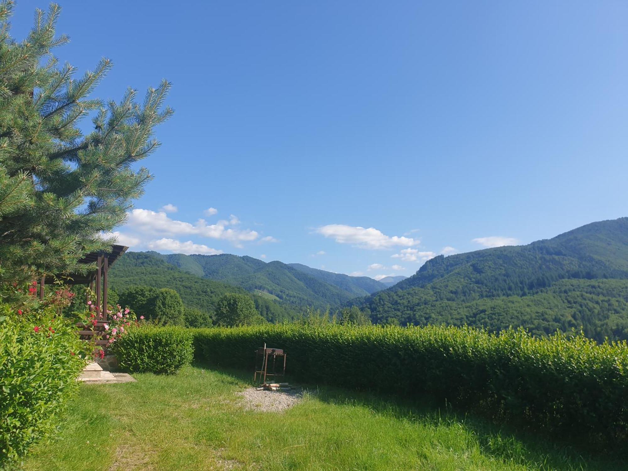 Valea Doamnei Hotel Nucsoara  Bagian luar foto