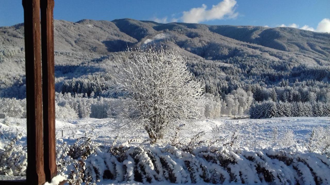 Valea Doamnei Hotel Nucsoara  Bagian luar foto