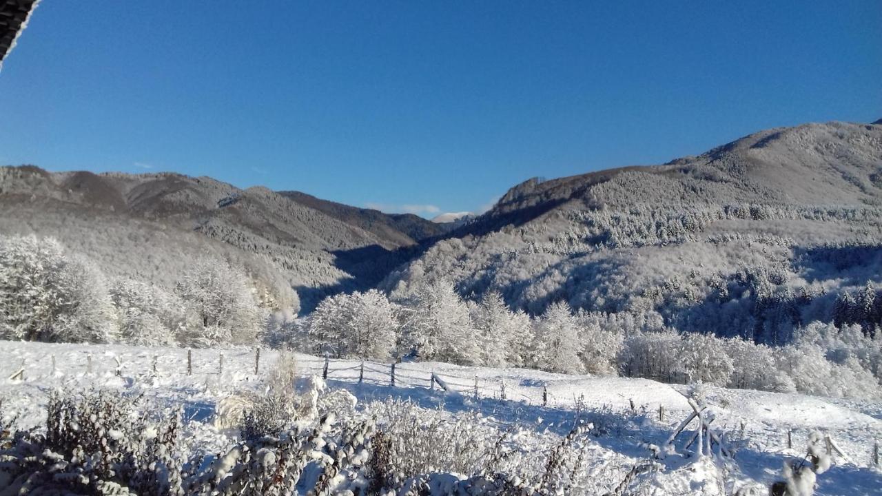 Valea Doamnei Hotel Nucsoara  Bagian luar foto