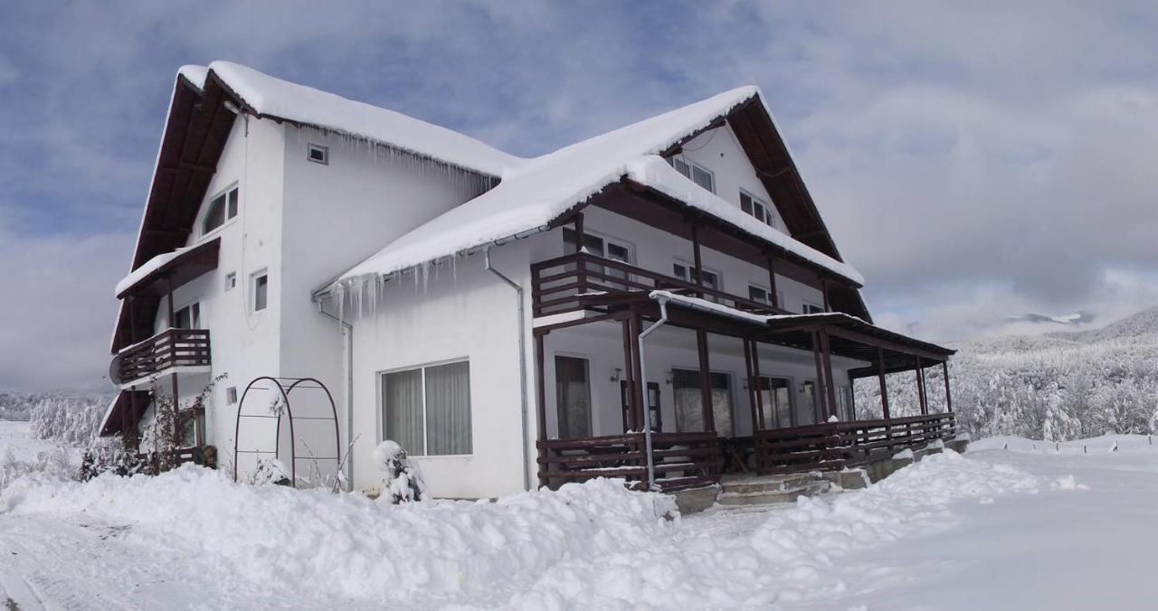 Valea Doamnei Hotel Nucsoara  Bagian luar foto
